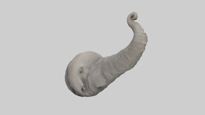 Elephant Trunk Model 3D model