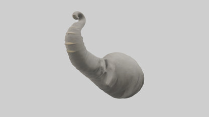 Elephant Trunk Model 3D model