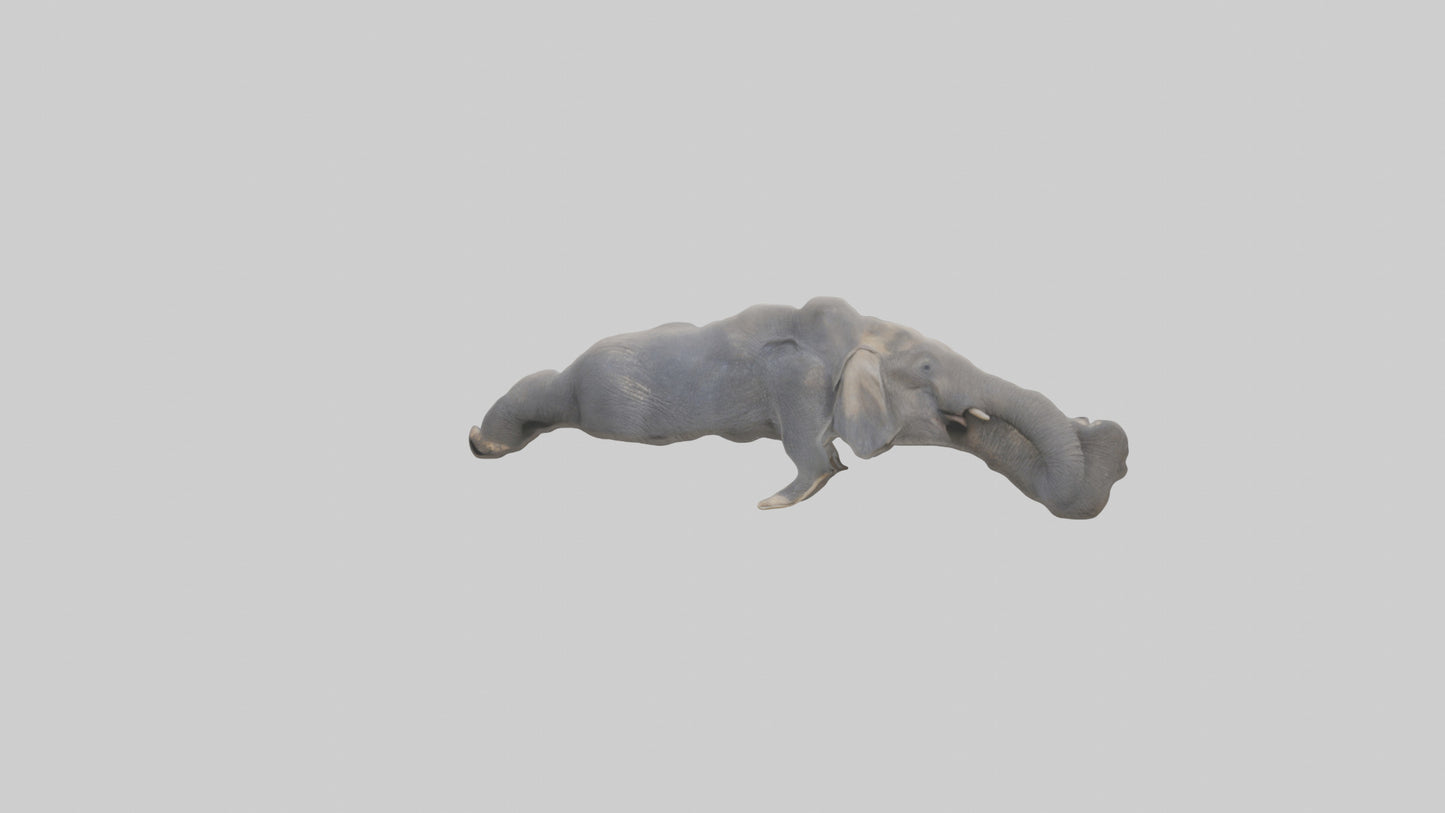 Elephant Trunk Model 3D model
