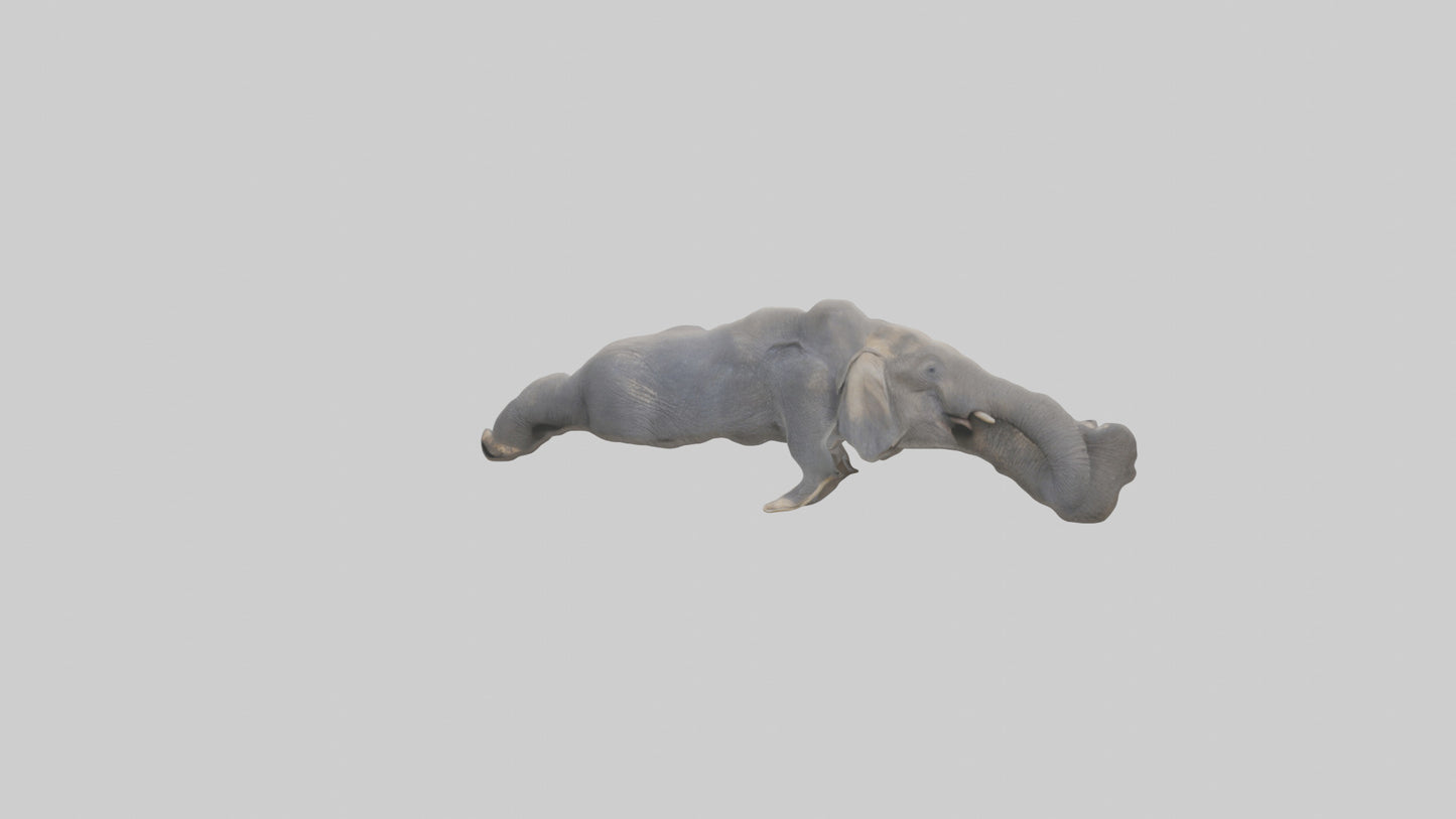 Elephant Trunk Model 3D model