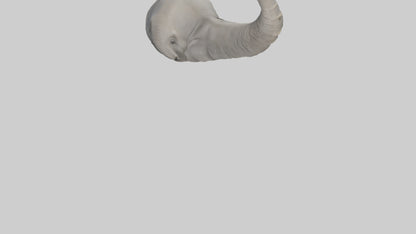 Elephant Trunk Model 3D model