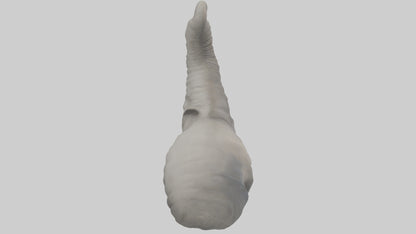 Elephant Trunk Model 3D model