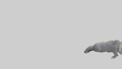 Elephant Trunk Model 3D model