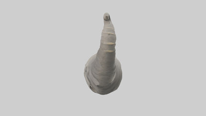 Elephant Trunk Model 3D model