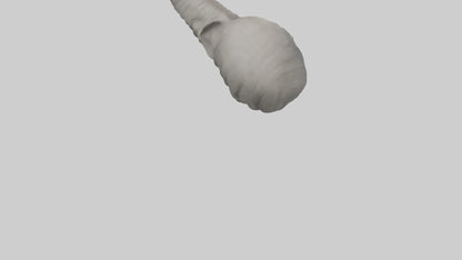 Elephant Trunk Model 3D model