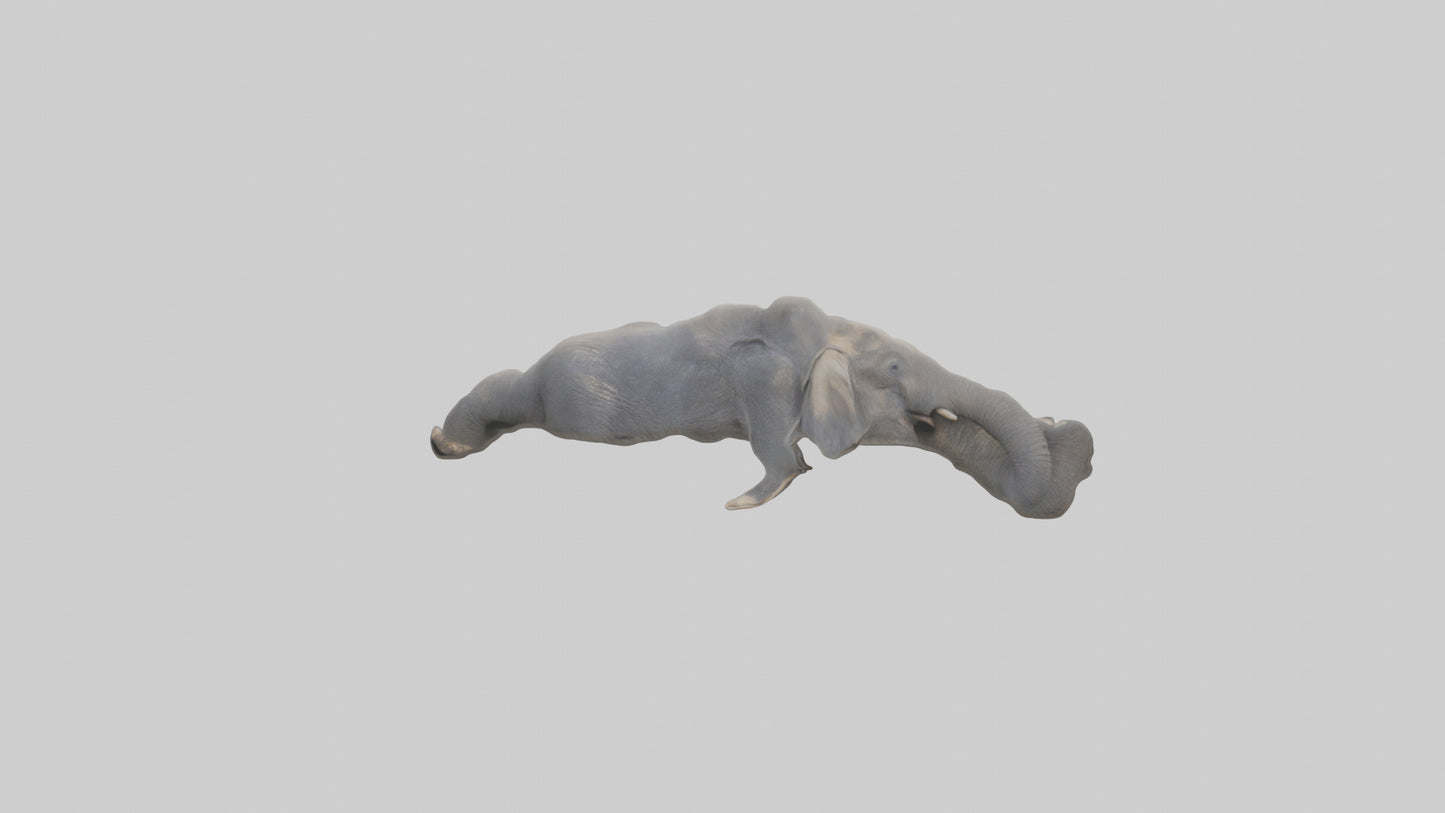 Elephant Trunk Model 3D model