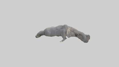 Elephant Trunk Model 3D model