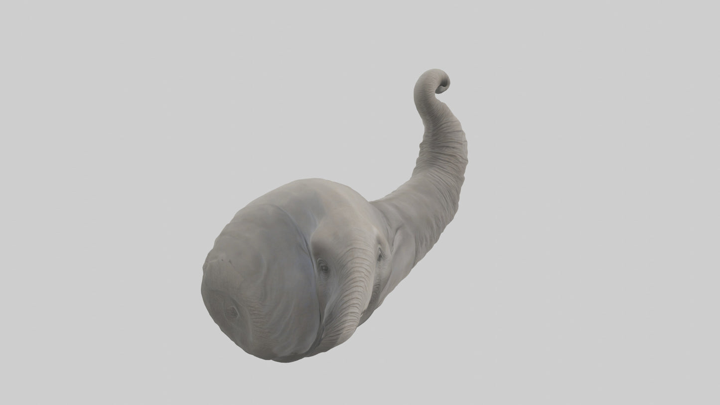 Elephant Trunk Model 3D model