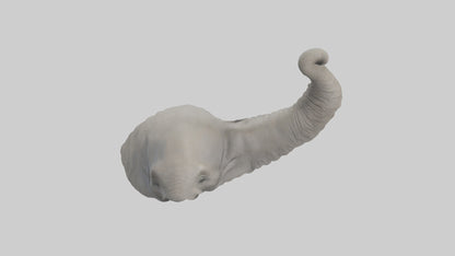 Elephant Trunk Model 3D model
