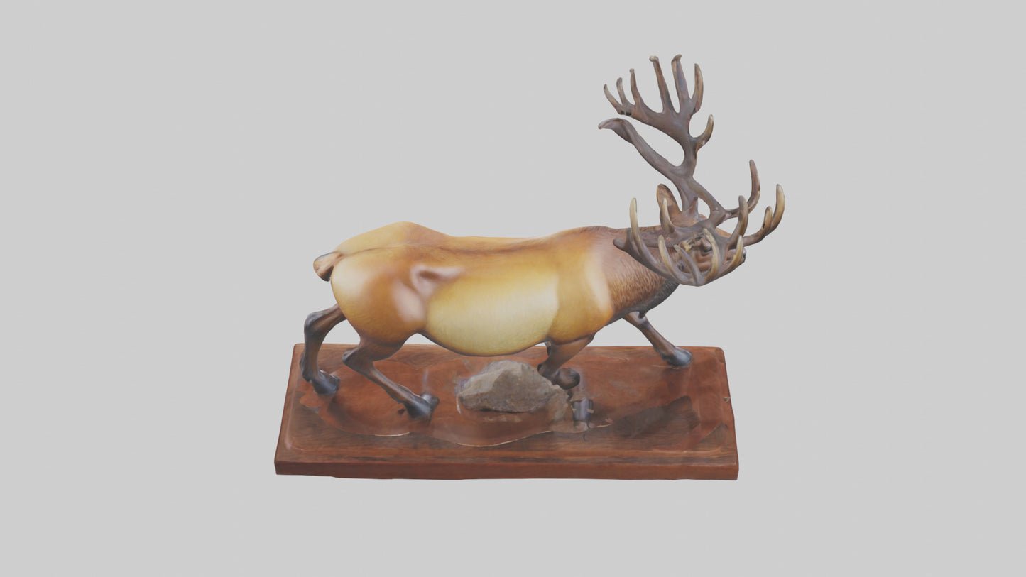Elk sculpture model 3D model