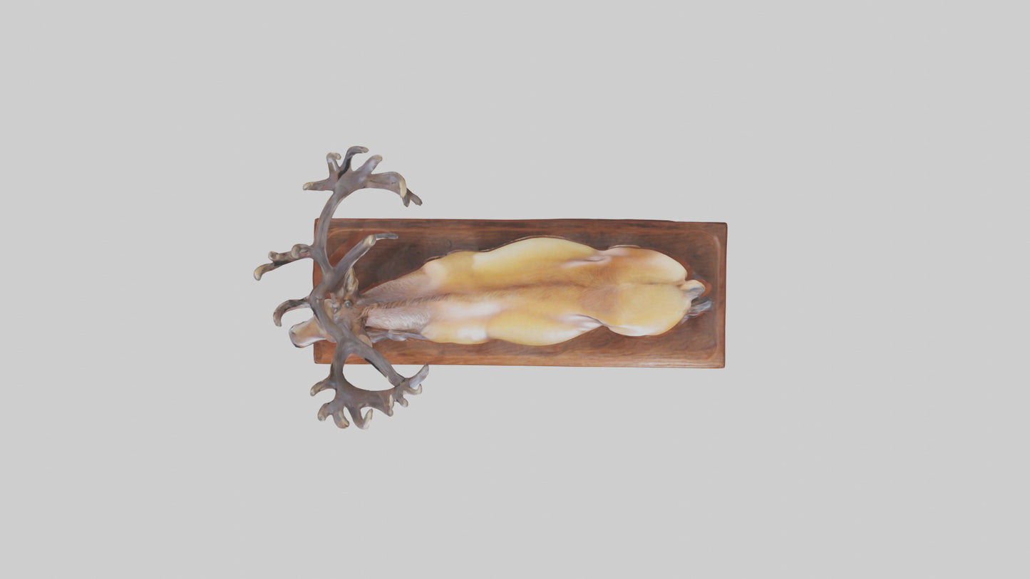 Elk sculpture model 3D model