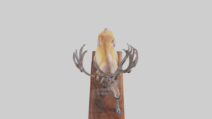 Elk sculpture model 3D model