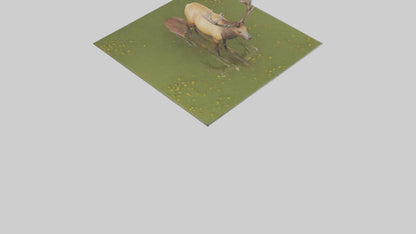 3D model Elk standing in meadow model VR / AR / low-poly