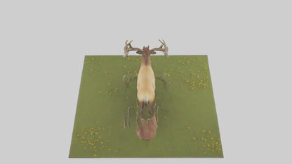 3D model Elk standing in meadow model VR / AR / low-poly