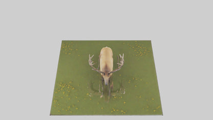 3D model Elk standing in meadow model VR / AR / low-poly