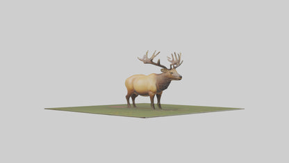 3D model Elk standing in meadow model VR / AR / low-poly