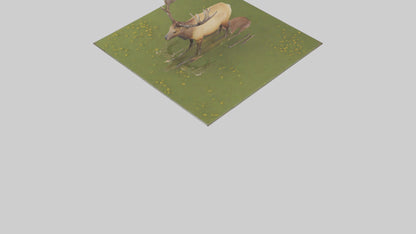 3D model Elk standing in meadow model VR / AR / low-poly