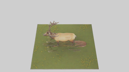 3D model Elk standing in meadow model VR / AR / low-poly