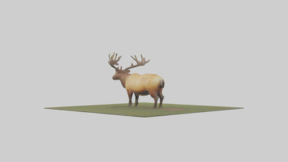 3D model Elk standing in meadow model VR / AR / low-poly