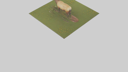 3D model Elk standing in meadow model VR / AR / low-poly