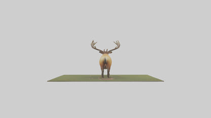 3D model Elk standing in meadow model VR / AR / low-poly