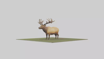 3D model Elk standing in meadow model VR / AR / low-poly