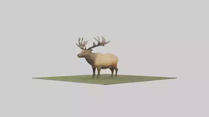 3D model Elk standing in meadow model VR / AR / low-poly
