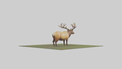 3D model Elk standing in meadow model VR / AR / low-poly