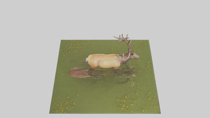 3D model Elk standing in meadow model VR / AR / low-poly