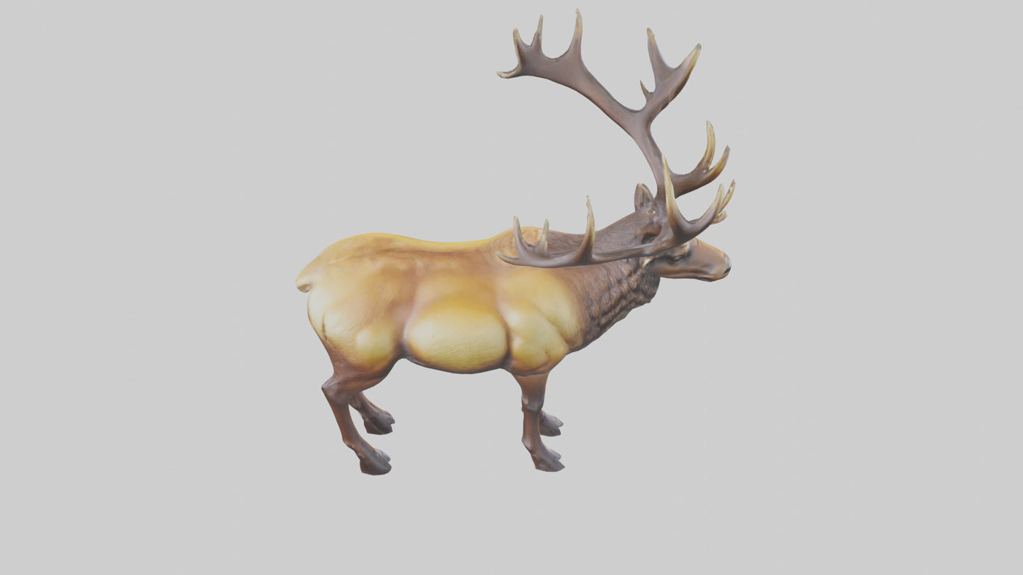3D model Elk statue model VR / AR / low-poly