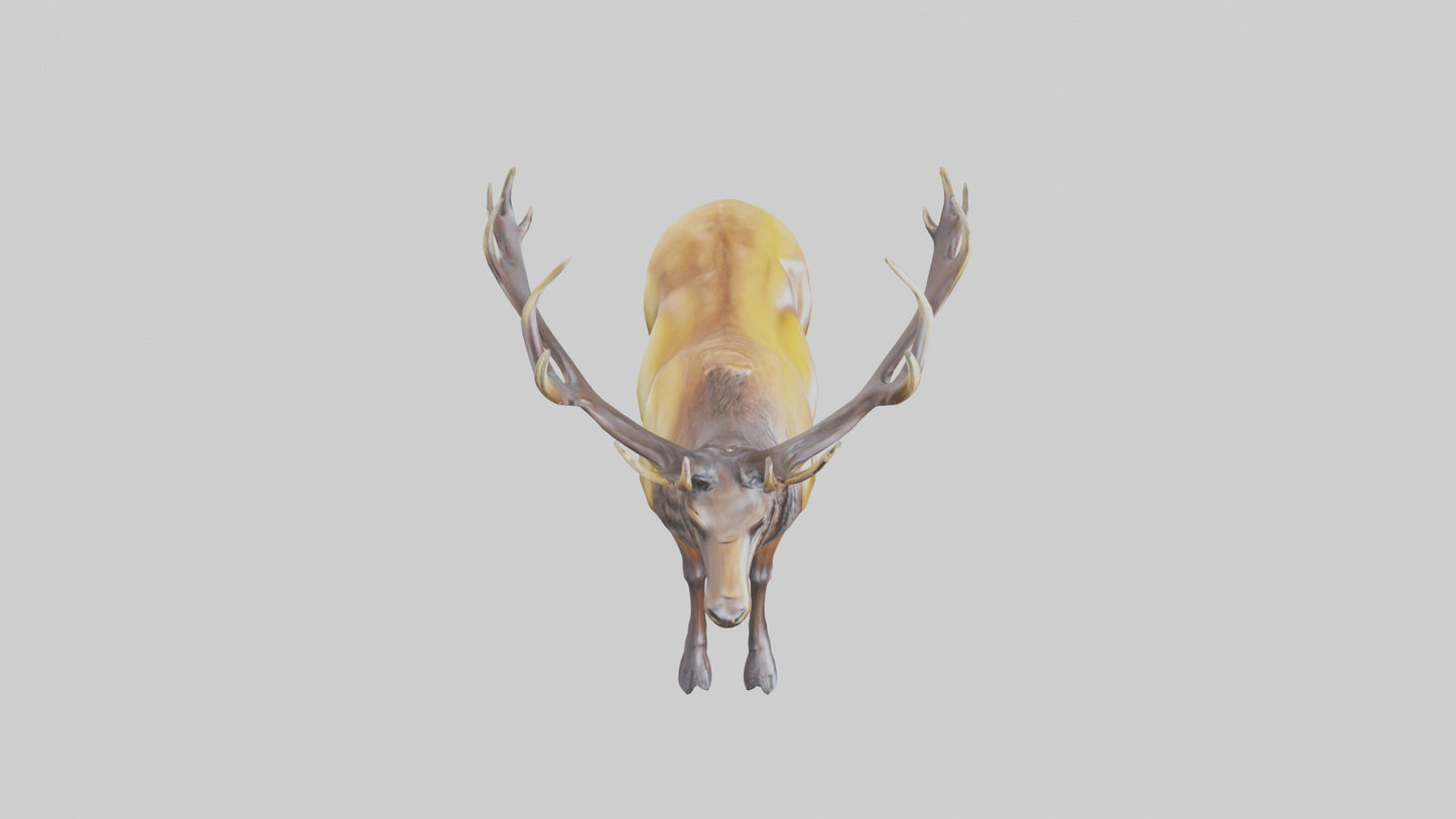 3D model Elk statue model VR / AR / low-poly