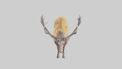 3D model Elk statue model VR / AR / low-poly