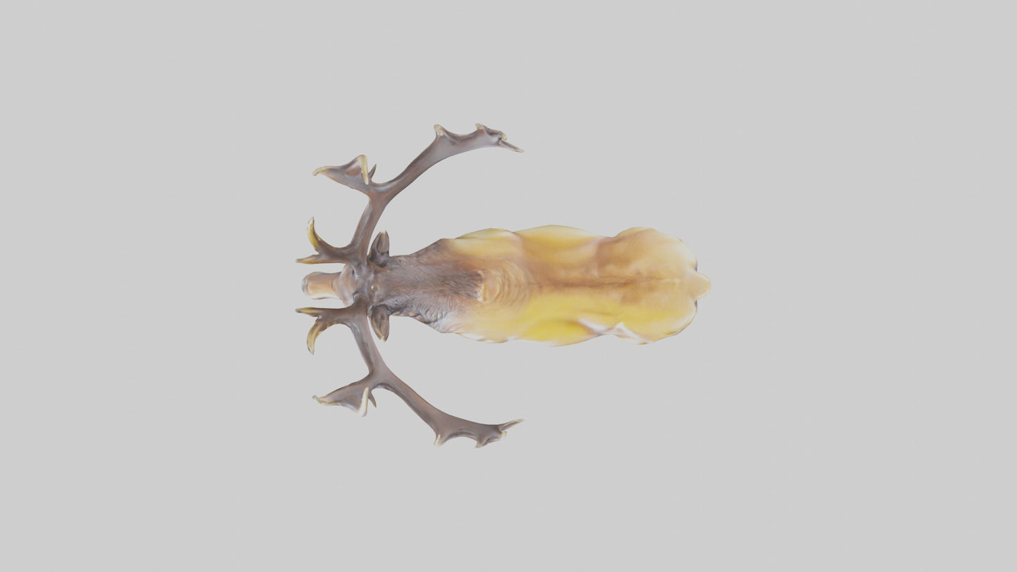 3D model Elk statue model VR / AR / low-poly