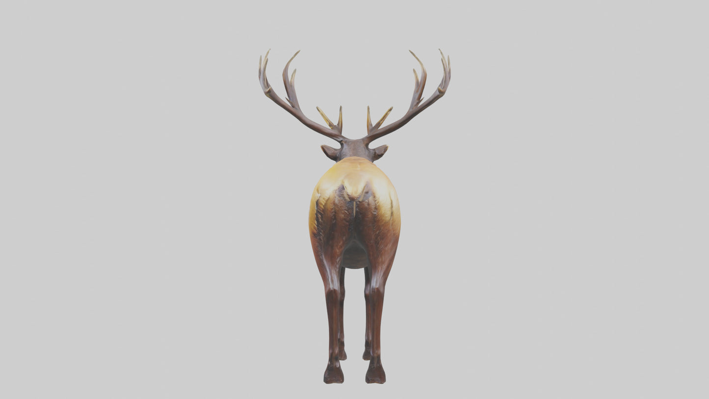 3D model Elk statue model VR / AR / low-poly