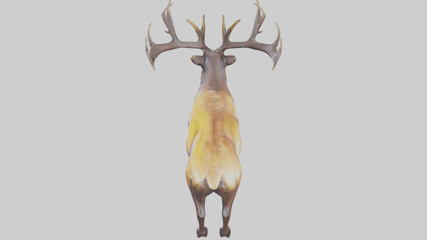 3D model Elk statue model VR / AR / low-poly