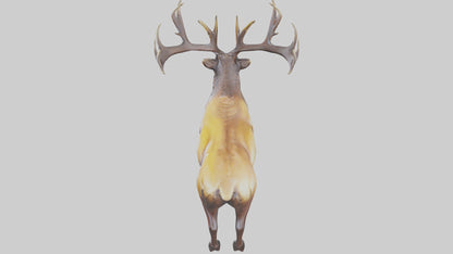 3D model Elk statue model VR / AR / low-poly