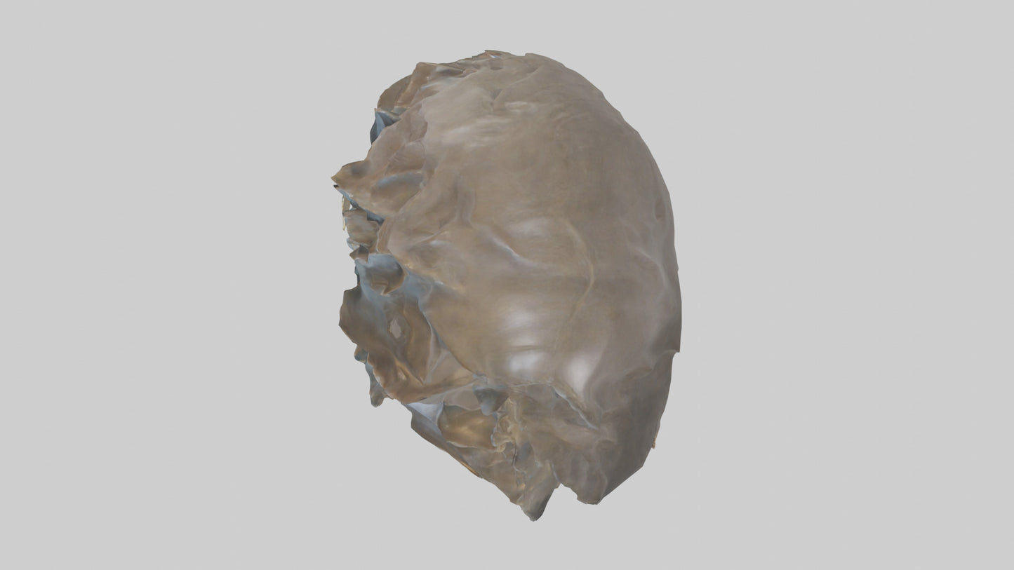 Ellen DeGeneres statue model 3D model