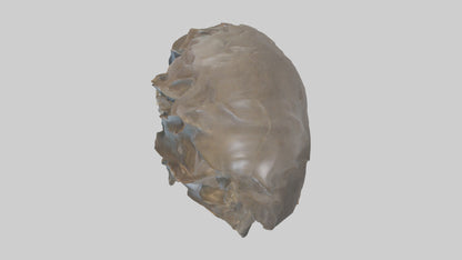 Ellen DeGeneres statue model 3D model