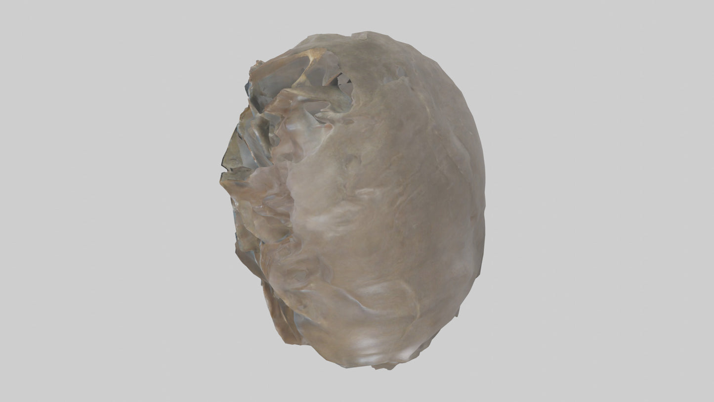 Ellen DeGeneres statue model 3D model