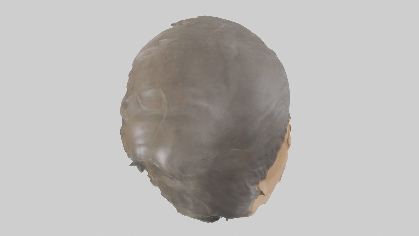 Ellen DeGeneres statue model 3D model