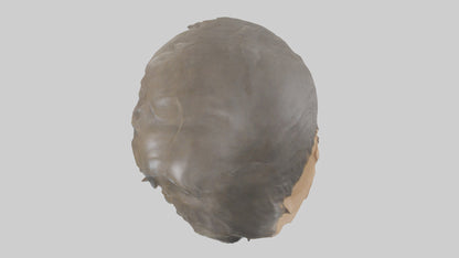 Ellen DeGeneres statue model 3D model