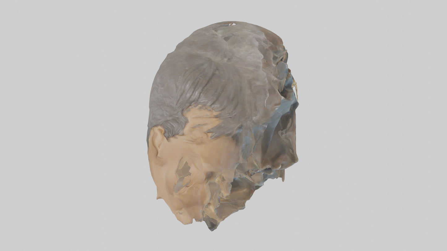 Ellen DeGeneres statue model 3D model