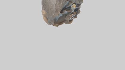 Ellen DeGeneres statue model 3D model