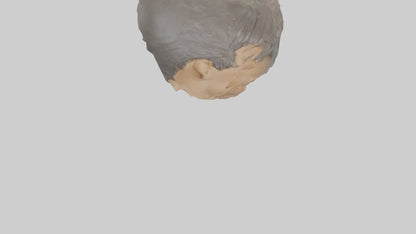 Ellen DeGeneres statue model 3D model