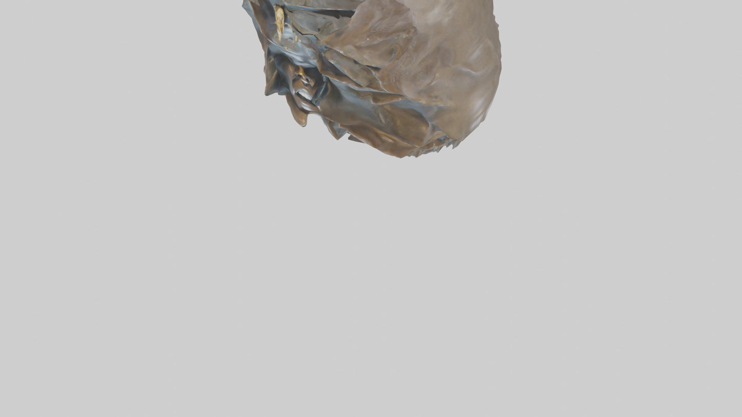 Ellen DeGeneres statue model 3D model