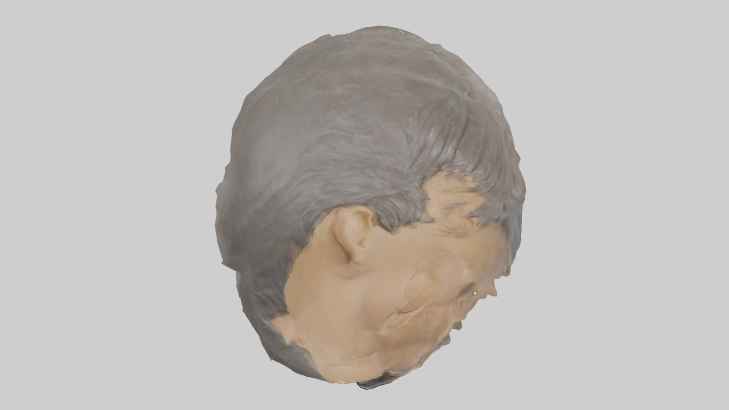 Ellen DeGeneres statue model 3D model