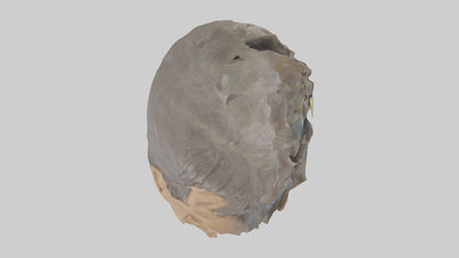 Ellen DeGeneres statue model 3D model