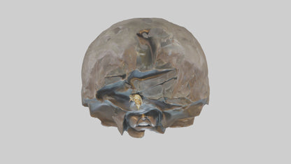 Ellen DeGeneres statue model 3D model