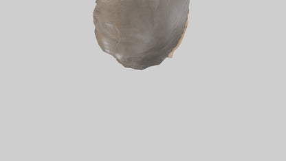 Ellen DeGeneres statue model 3D model