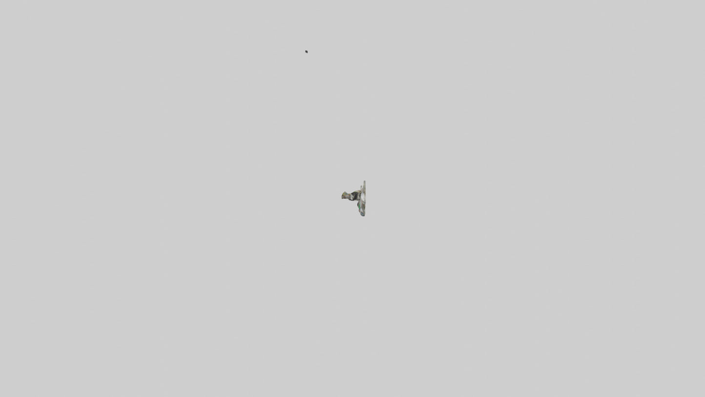 Elven Bow model 3D model